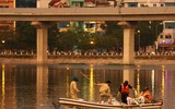 Hà Nội: Lại xuất hiện cá chết ở hồ Hoàng Cầu 
